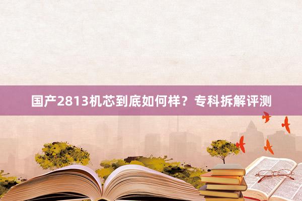 国产2813机芯到底如何样？专科拆解评测