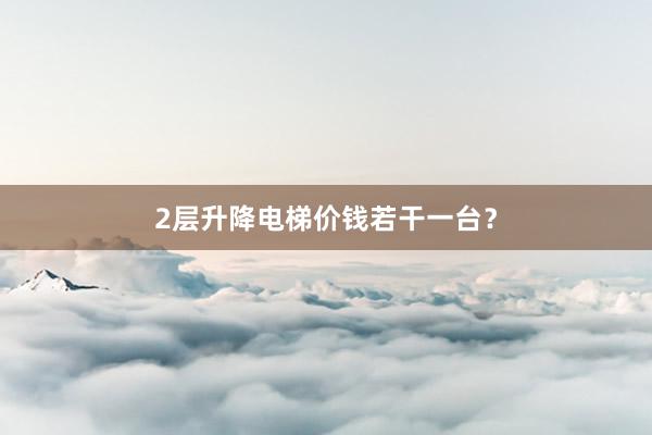 2层升降电梯价钱若干一台？